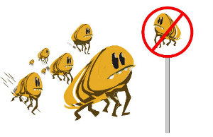 flea prevention